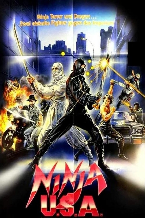 Poster do filme Ninja USA