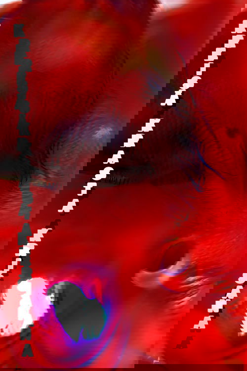 The Fall of The Left Bank movie poster