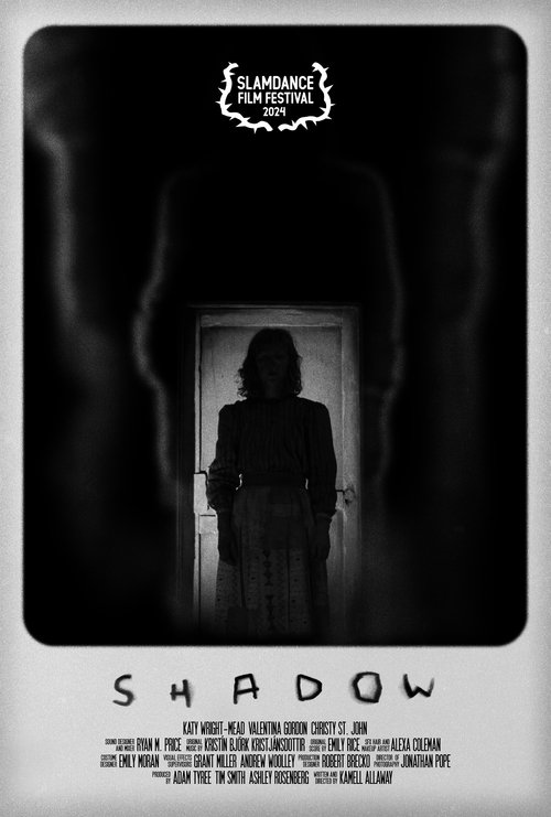 Poster do filme Shadow