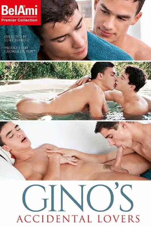 Gino's Accidental Lovers movie poster