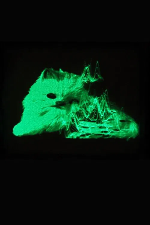 My Favorite Object movie poster