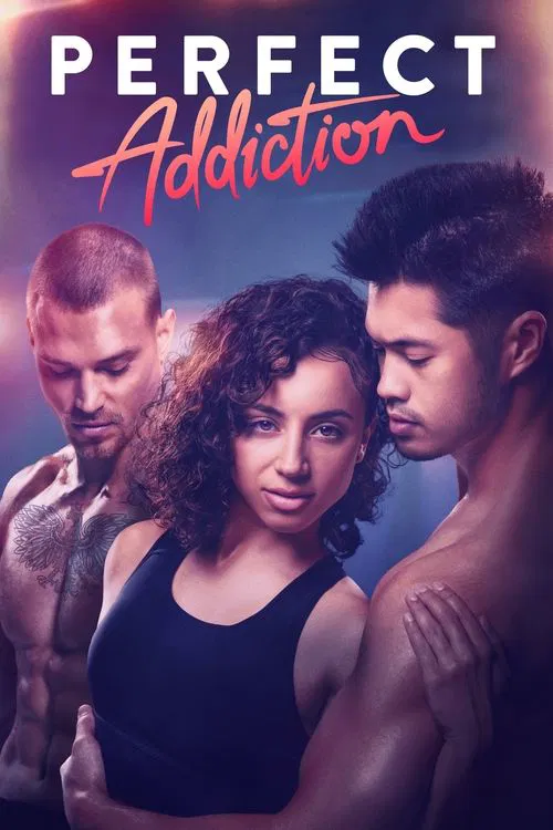 Perfect Addiction movie poster