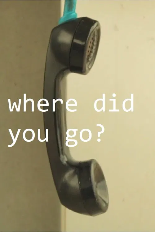 where did you go? movie poster