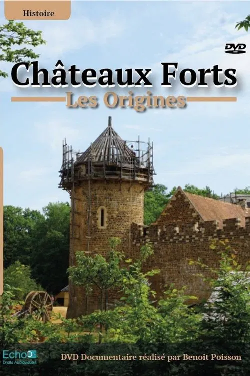 Châteaux-forts : Les origines movie poster