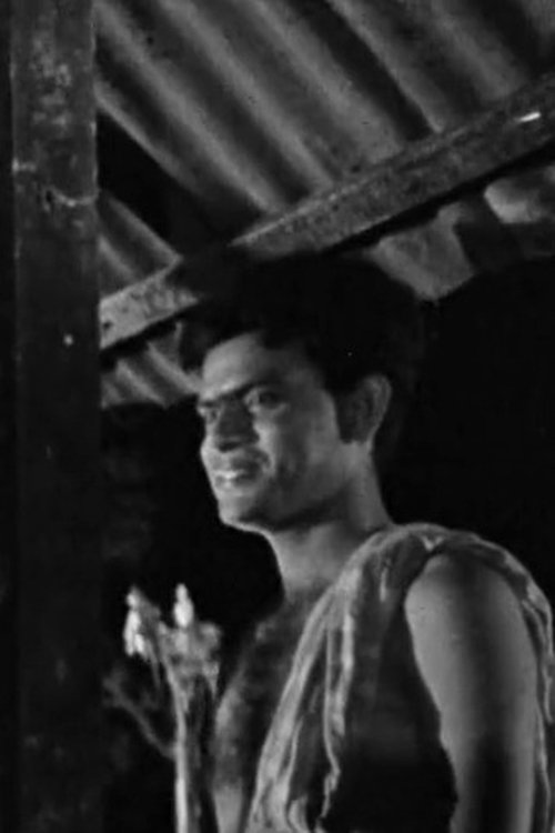 Sheikh Fazlu profile picture