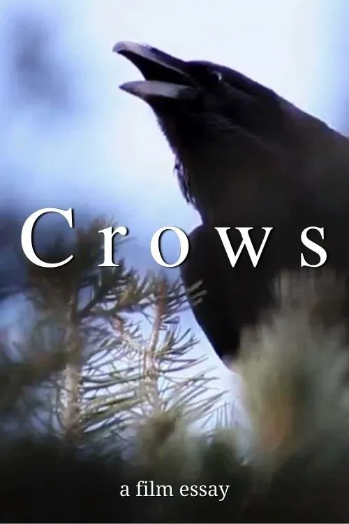 Crows - A film essay movie poster