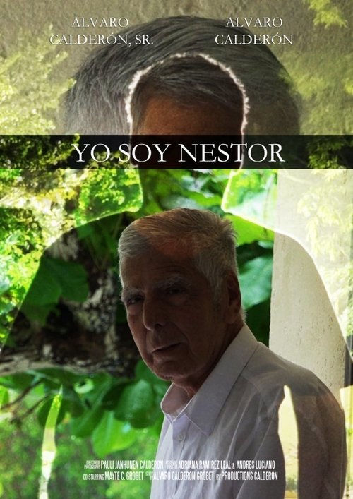 Poster do filme Yo Soy Nestor