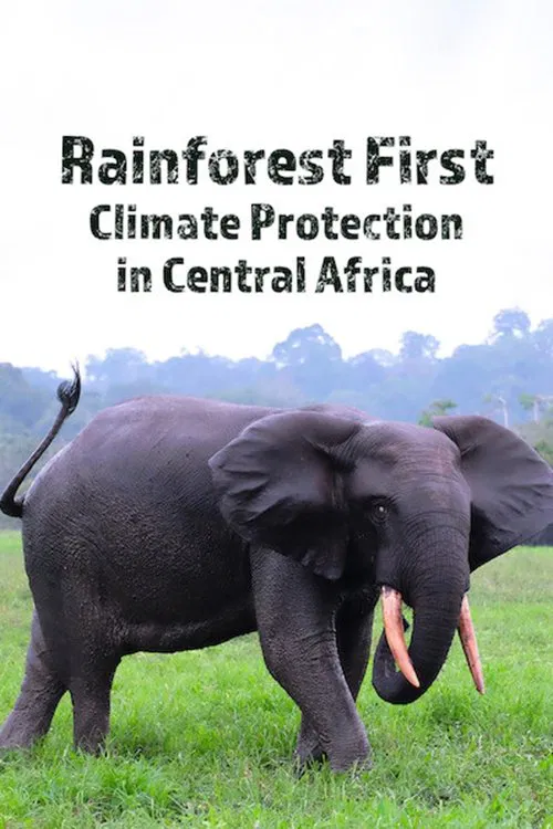 Poster do filme Rainforest First: Climate Protection in Central Africa