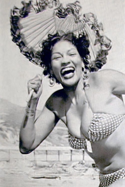 Suzette Harbin profile picture