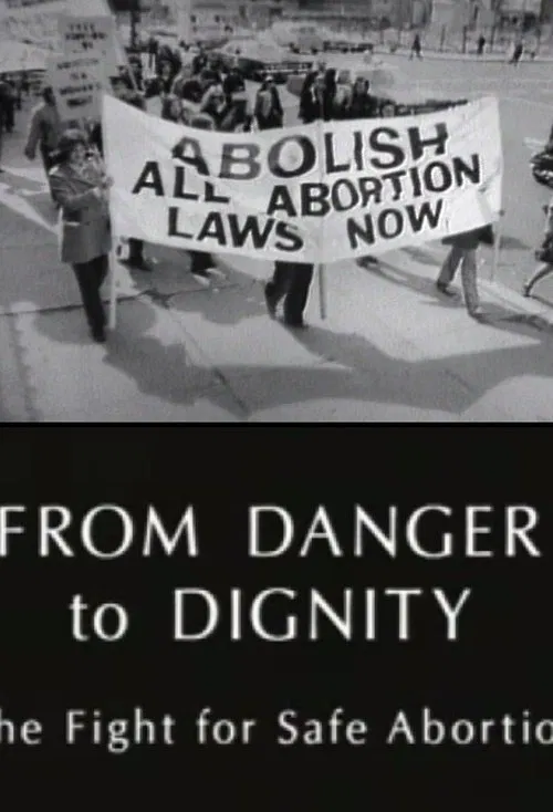 From Danger to Dignity: The Fight For Safe Abortion movie poster