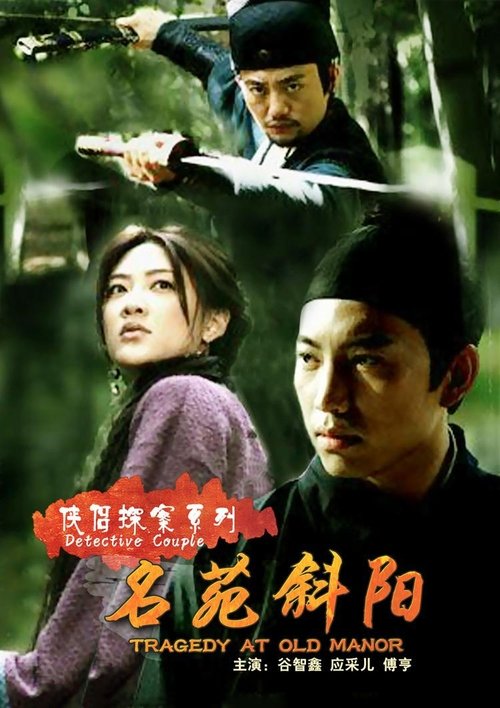 侠侣探案 tv show poster