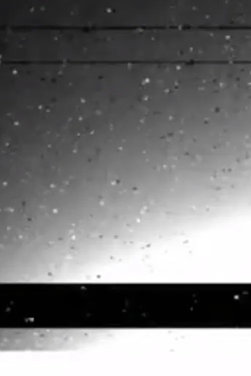 Black Rain movie poster