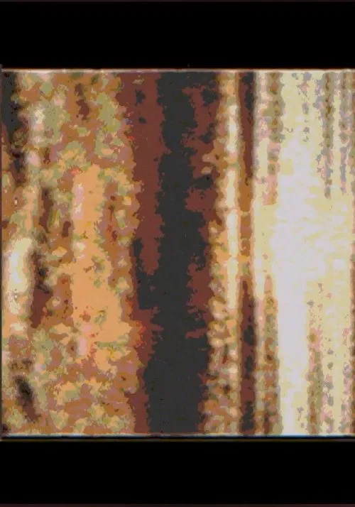 Poster do filme Angels Have No Thought Of Ever Returning You