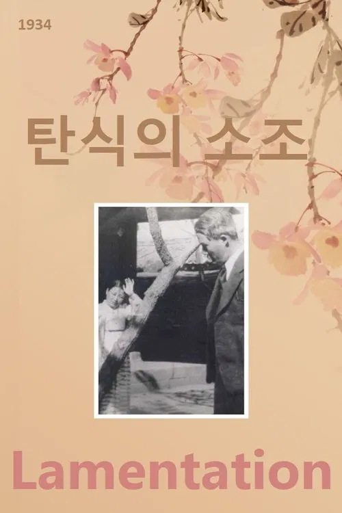 Poster do filme Lamentation