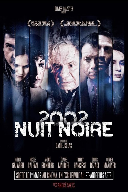 Nuit noire movie poster
