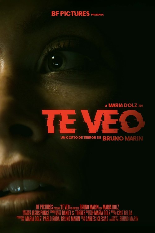 Te Veo movie poster
