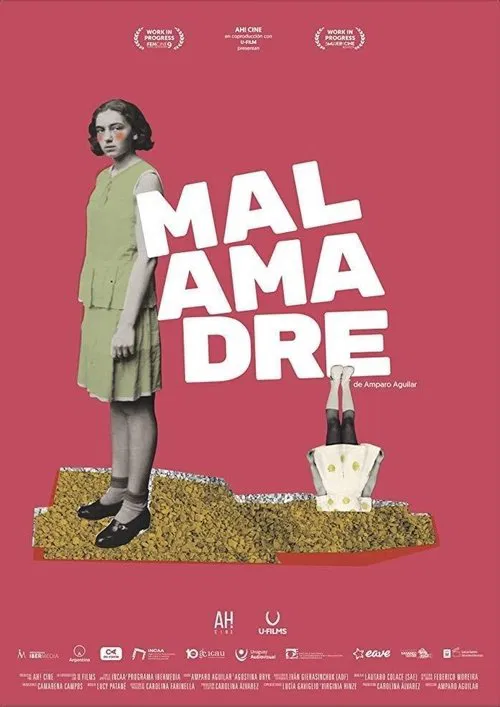 Poster do filme Badmom