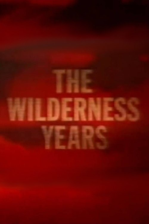The Wilderness Years tv show poster