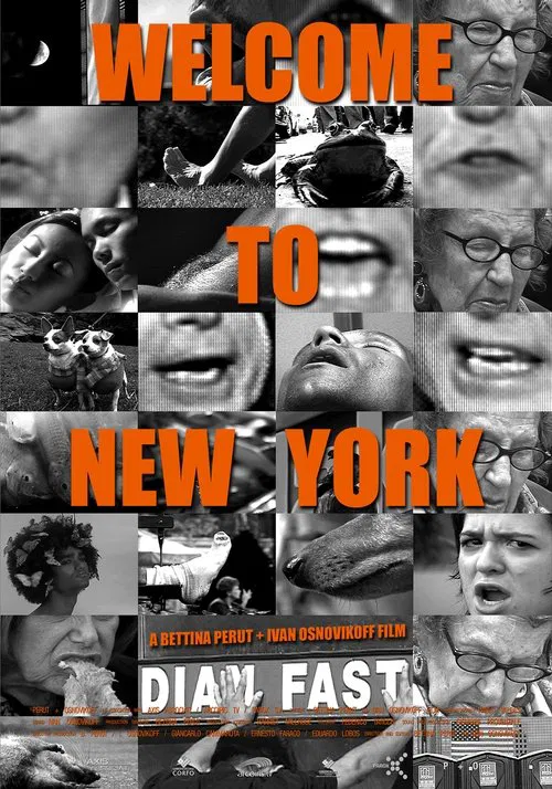 Welcome to New York movie poster