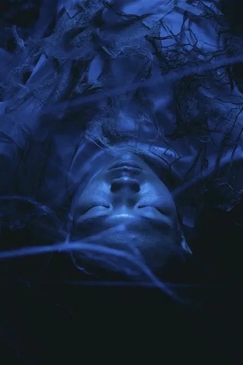 Spinner movie poster