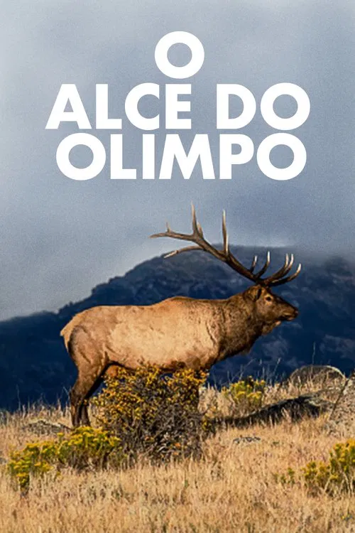 Poster do filme O Alce do Olimpo