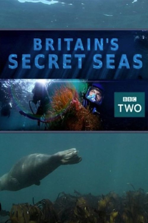 Britain's Secret Seas tv show poster