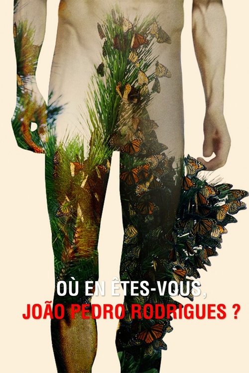 Where Do You Stand Now, João Pedro Rodrigues? movie poster