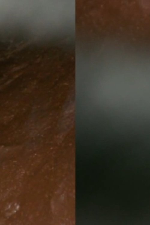 And the Earth Opened movie poster