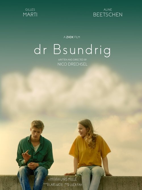 dr Bsundrig movie poster