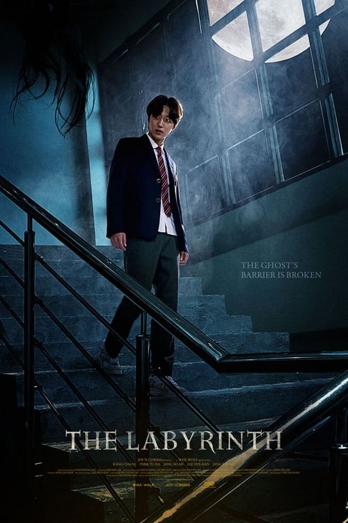 The Labyrinth movie poster