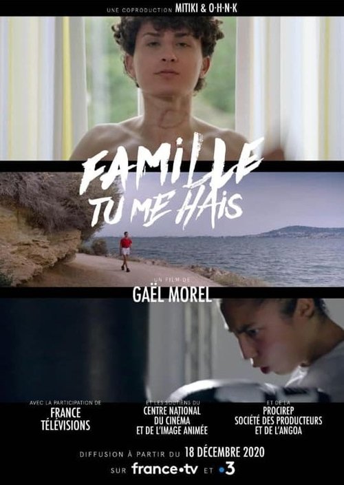 Family, You Hate Me movie poster