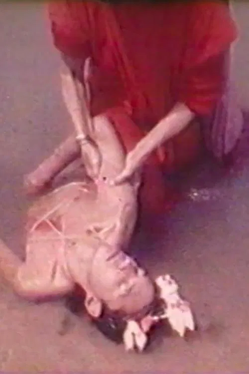 El Retorno movie poster