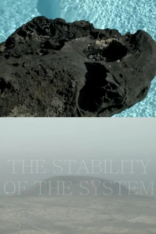 Poster do filme THE STABILITY OF THE SYSTEM