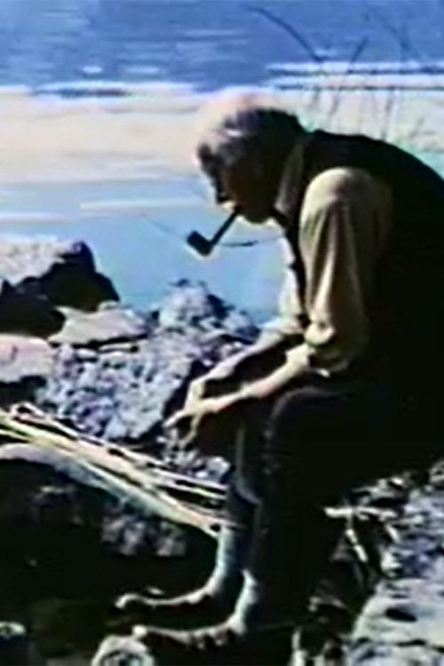 Carl G. Jung or Lapis Philosophorum movie poster