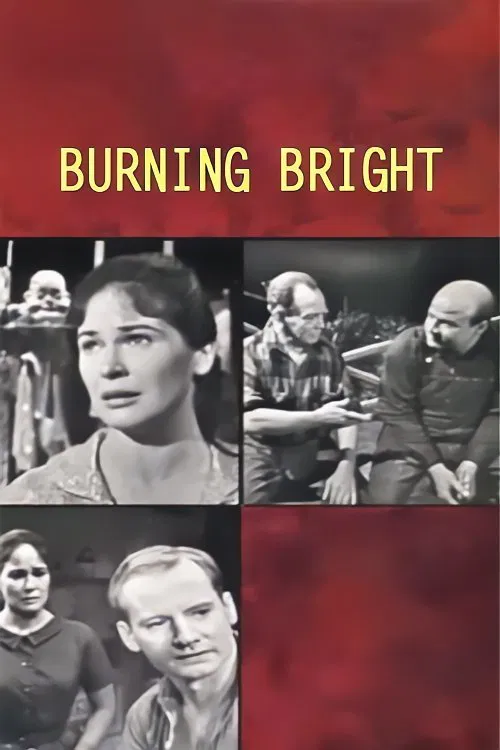 Poster do filme Burning Bright