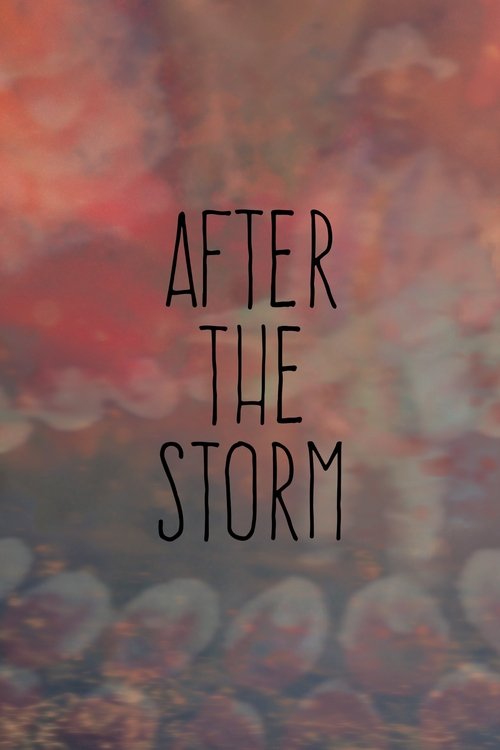 After the Storm movie poster
