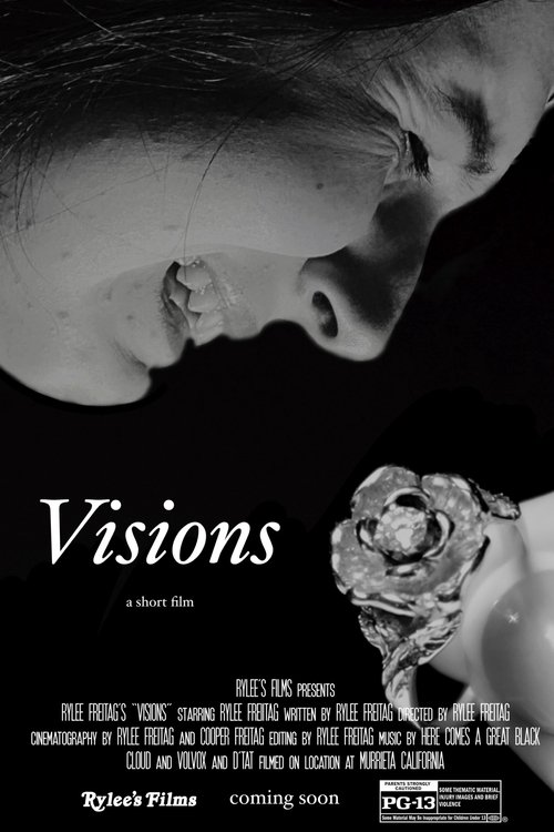 Visions movie poster