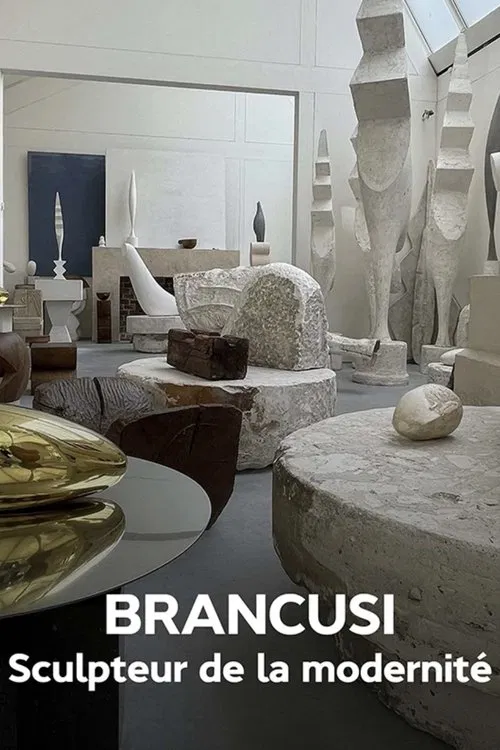 Brancusi : les métamorphoses de la sculpture movie poster