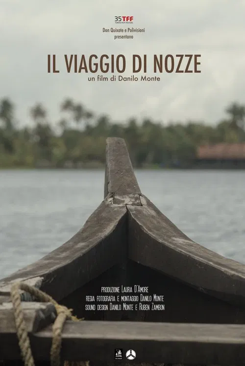 Il viaggio di nozze movie poster