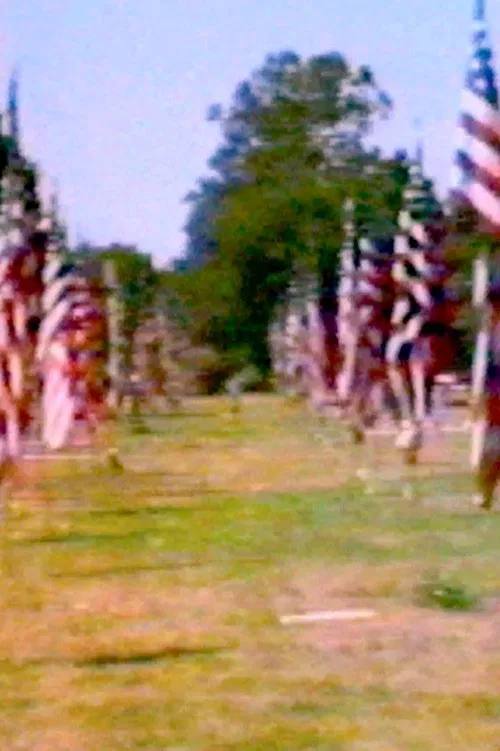 Towards Intuition: An American Landscape movie poster