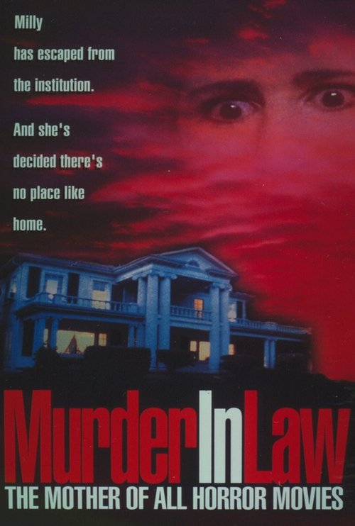 Murder in Law movie poster