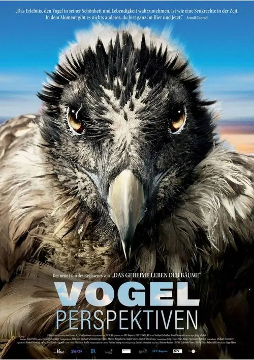 Bird's Eyeview movie poster