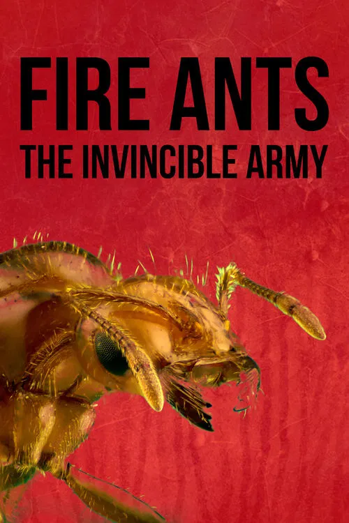 Fire Ants 3D: The Invincible Army movie poster
