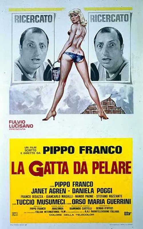 La gatta da pelare movie poster
