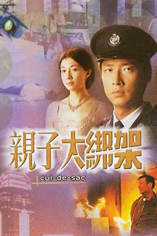 Poster do filme 親子大綁架