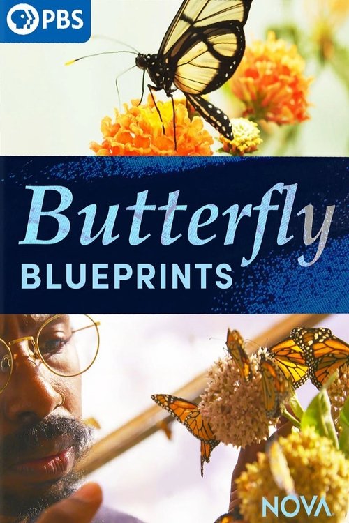 Butterfly Blueprints movie poster