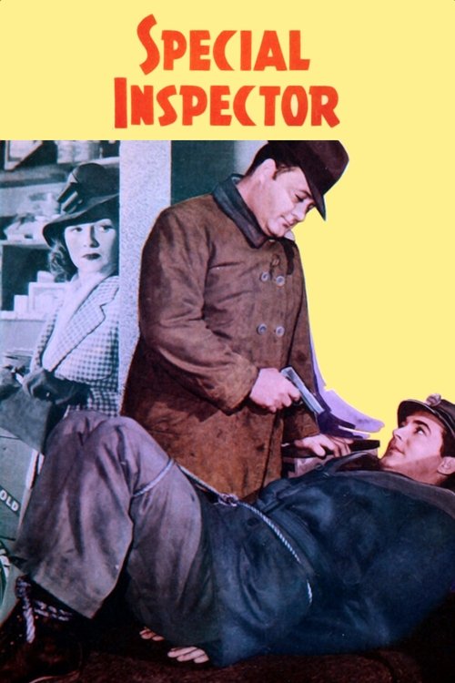 Special Inspector movie poster
