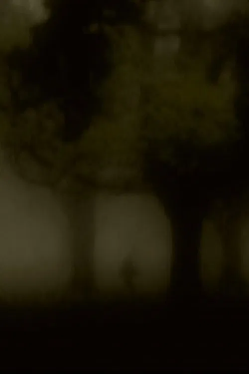Man Alone movie poster