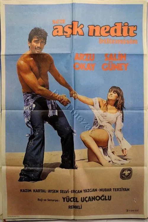 Poster do filme Sen Aşk Nedir Bilir Misin