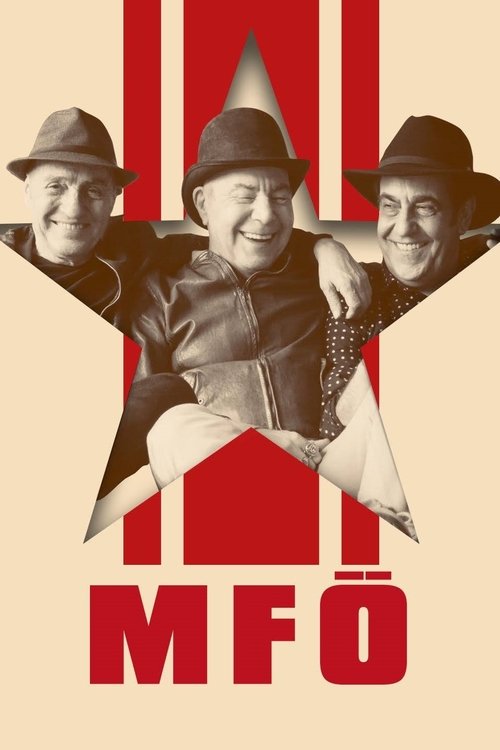 MFO Akustik movie poster